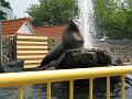 I&Y 30 juni 2010 (7) Dolfinarium Harderwijk